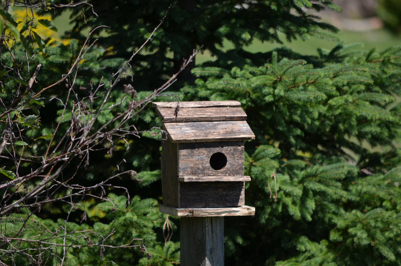 Bird House Made With a Pallet